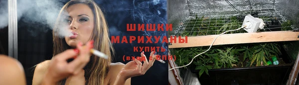 бутират Алзамай