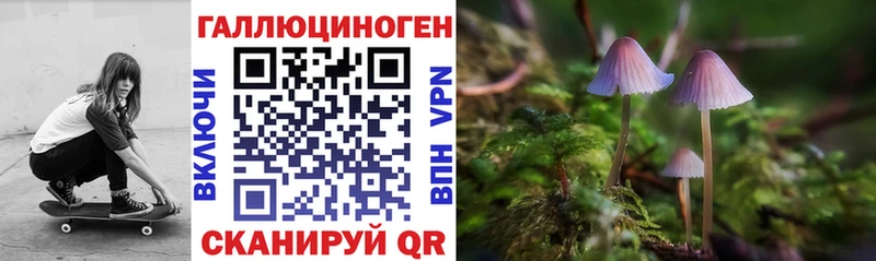 Псилоцибиновые грибы Psilocybine cubensis  Щёлково 